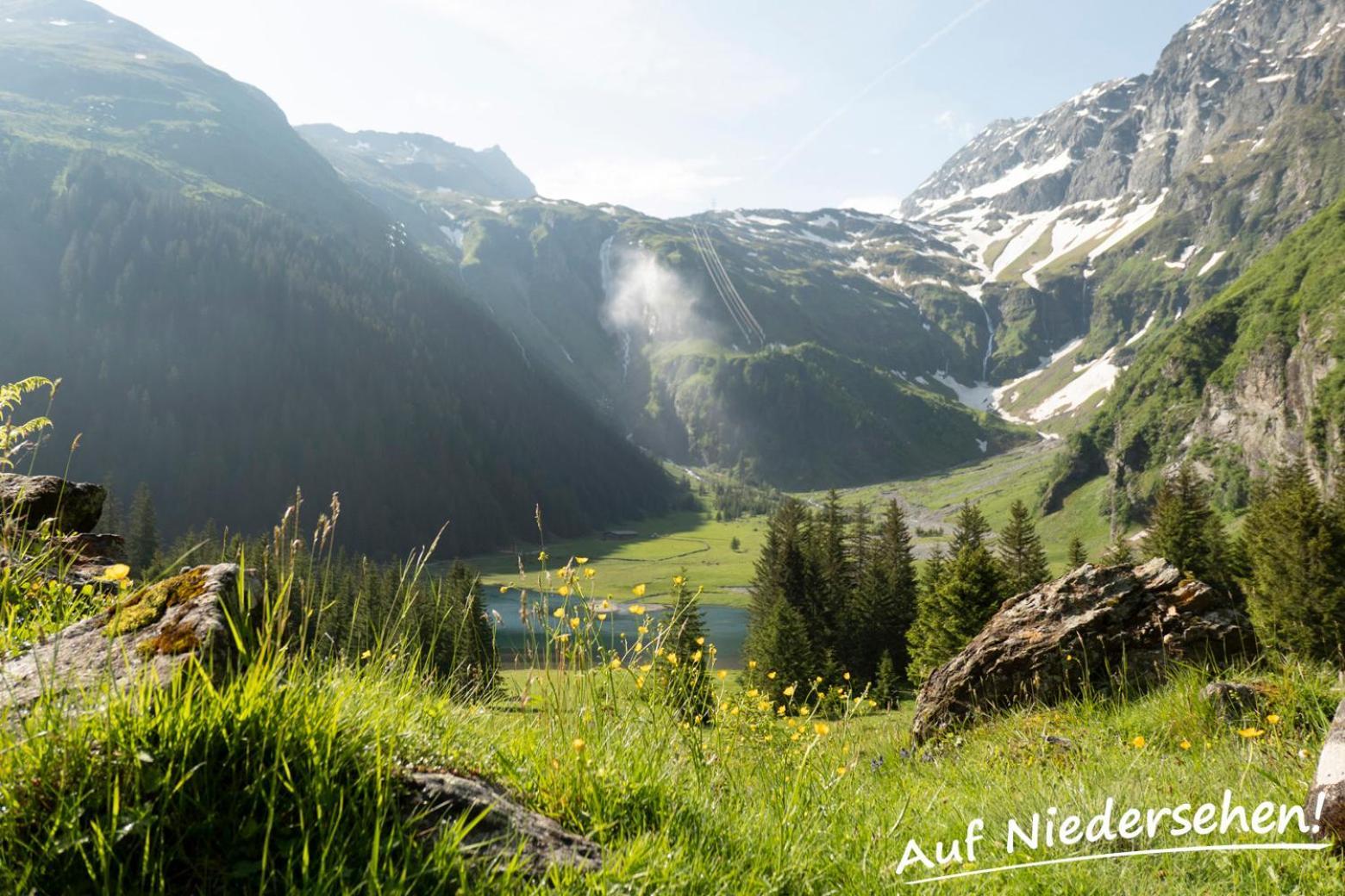 Ferienwohnung Auf Niedersehen - 8 Personen - Kitzbuehler Alpen - Hoehe Tauern Np Hollersbach im Pinzgau Εξωτερικό φωτογραφία